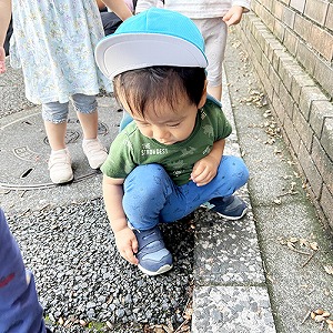 道にしゃがんで秋をみつける子ども